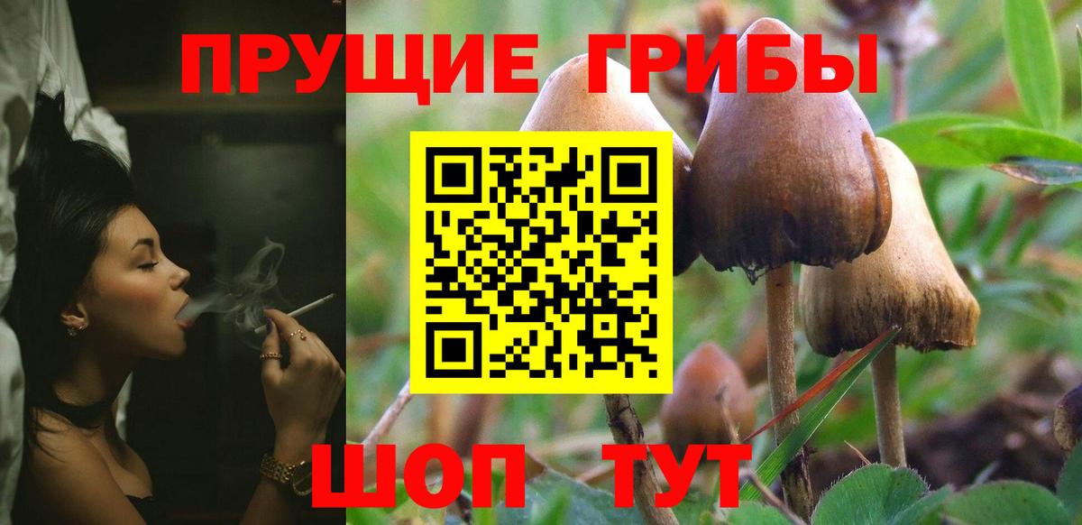 Галлюциногенные грибы мухоморы Северск